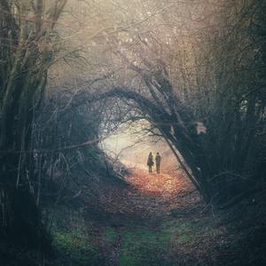 美女免费观看网站
