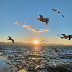 美女免费观看网站
