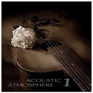 美女免费观看网站
