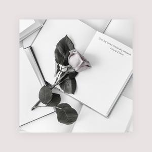 美女免费观看网站
